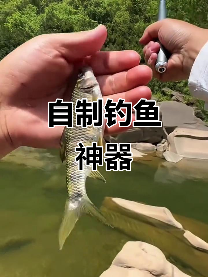 引鱼饵料制作(引鱼饵料制作视频)