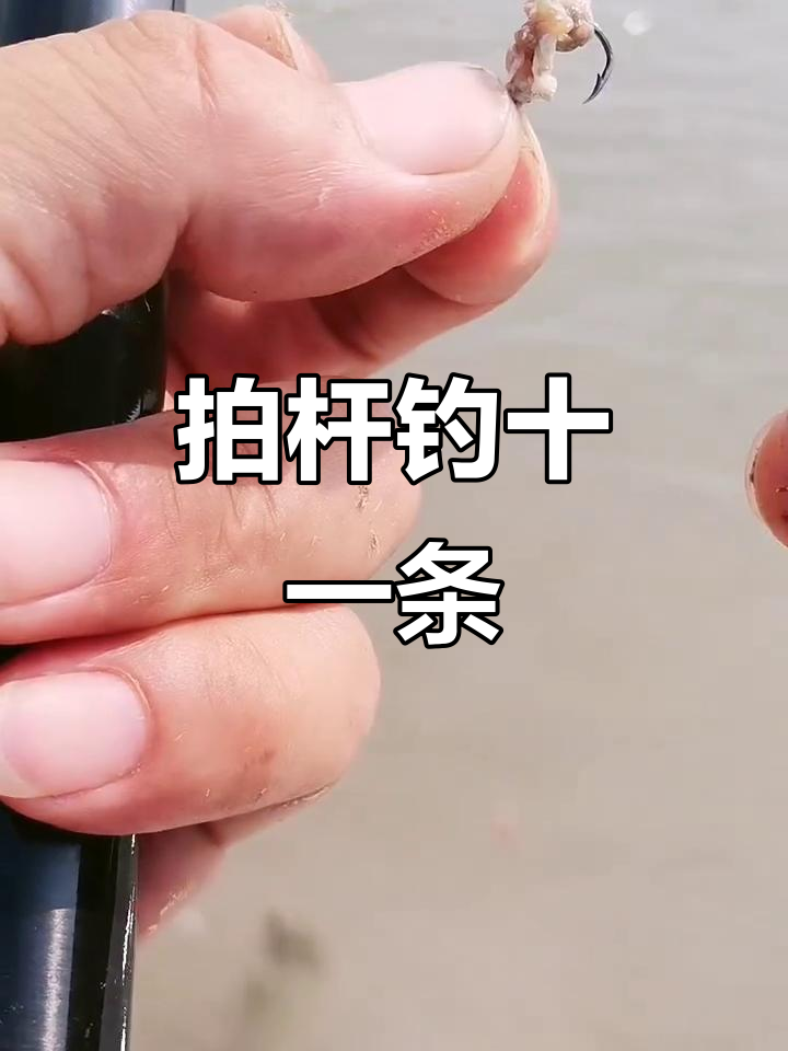 鲈鱼甩竿技巧(鲈鱼手竿钓法视频教程)