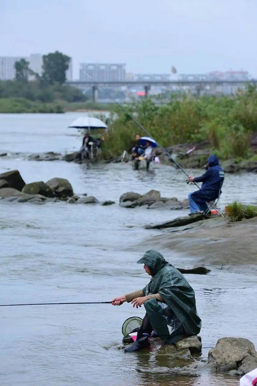 秋季野钓雨天钓鱼技巧(秋季雨天钓鱼钓深还是钓浅)