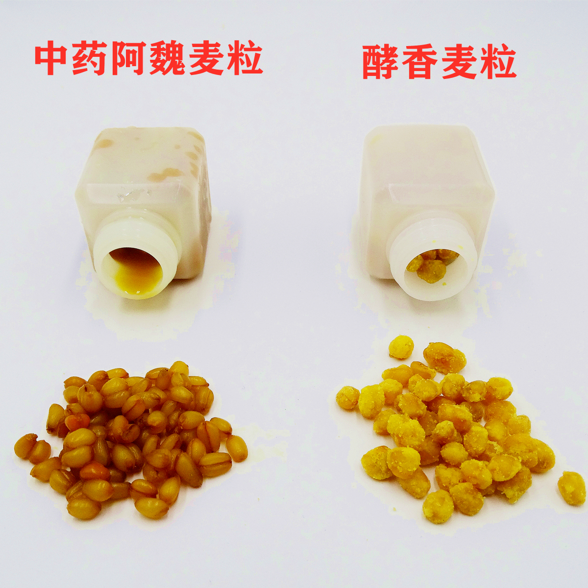 麦粒钓鱼饵料(麦粒钓鱼饵料制作方法)