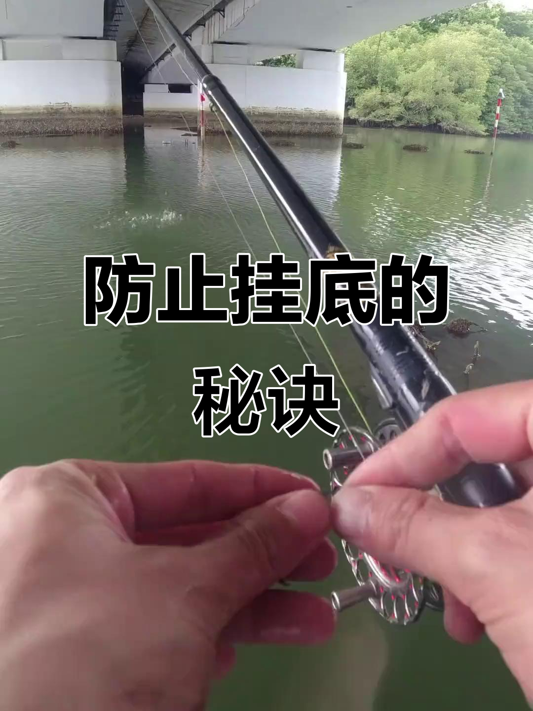 桥钓技巧(桥钓技巧怎么提竿)