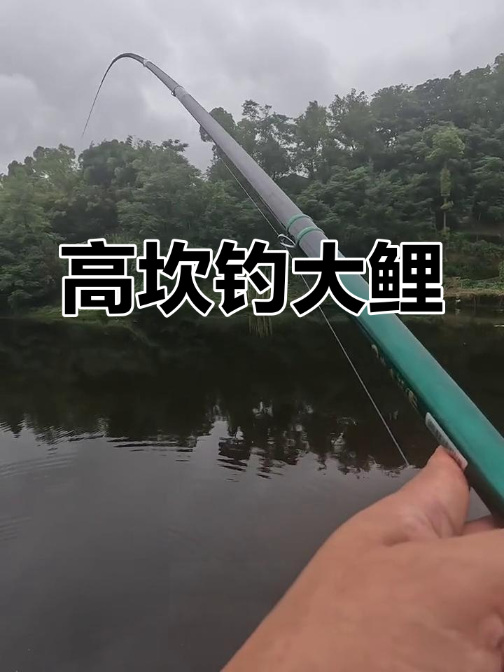 钓鱼找坎技巧(钓鱼钓坎下还是坎上)