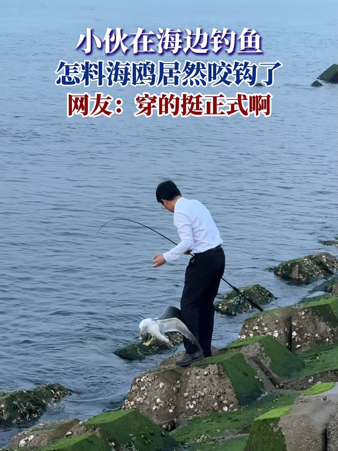 北京西海钓鱼最新(北京北海钓鱼)
