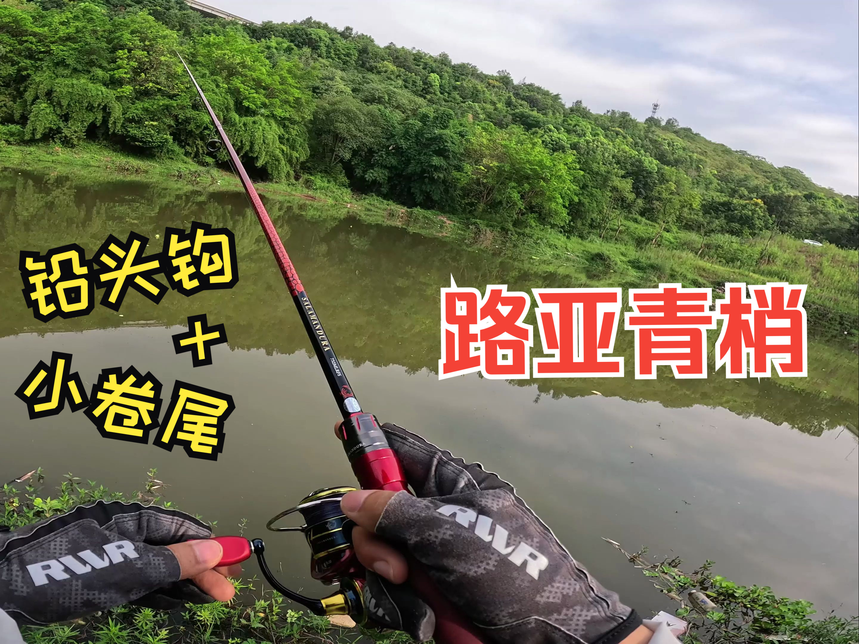 软虫路亚青稍技巧(路亚软饵钓什么鱼)