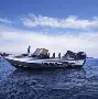 l路亚鲑鱼(路亚竿钓鲑鱼怎么拴钩)