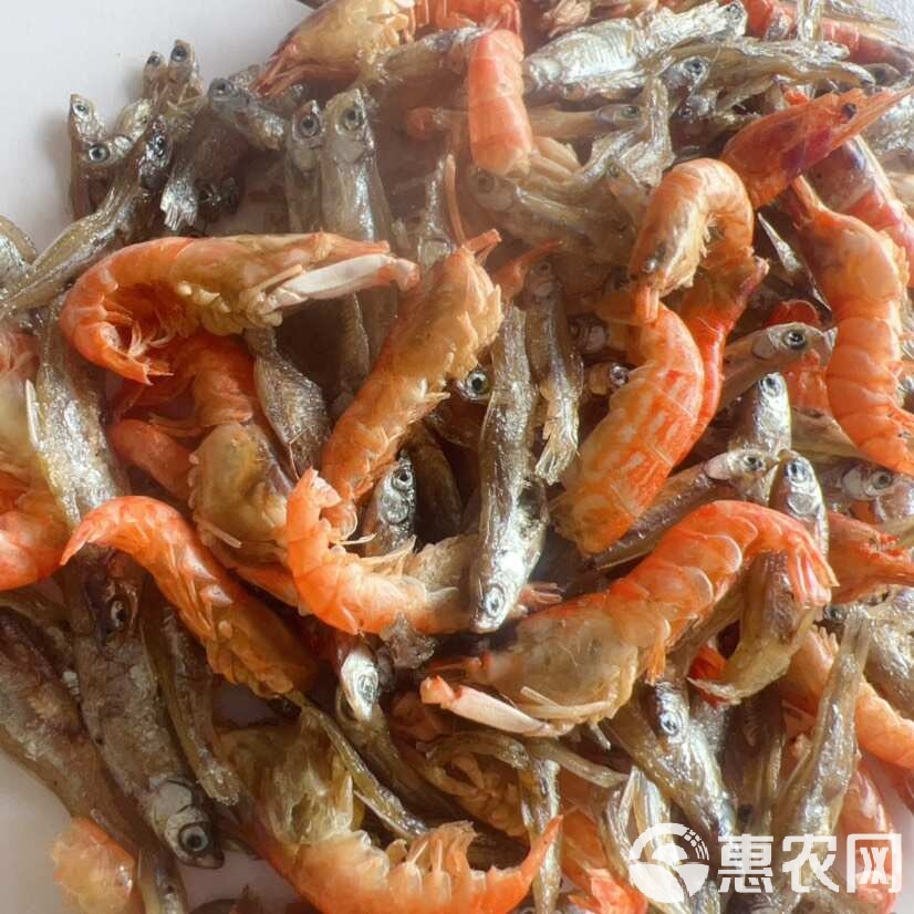 海钓虾干防小鱼(捕虾用什么诱饵最好)