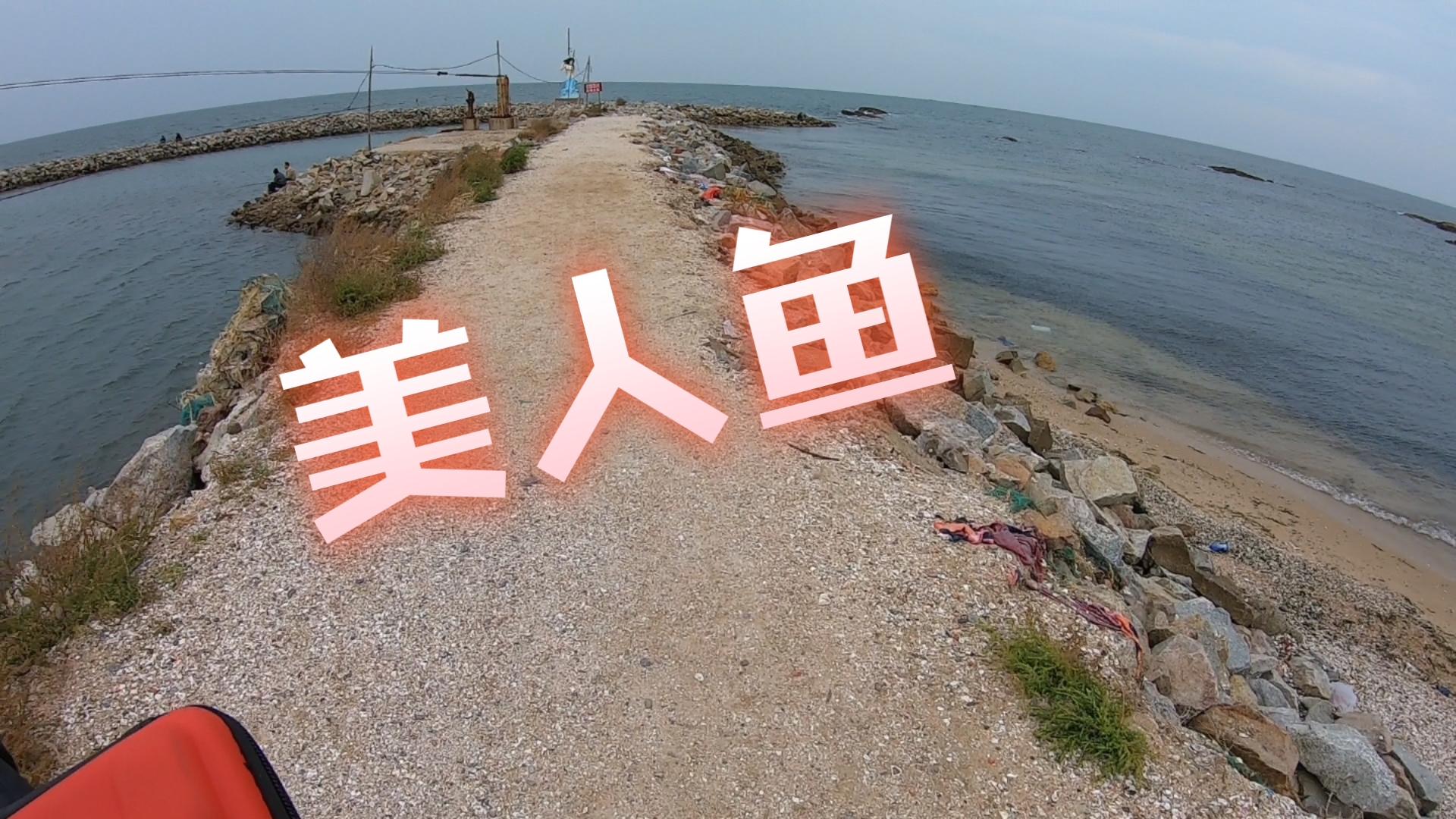 东戴河海钓方法(东戴河能钓什么鱼)