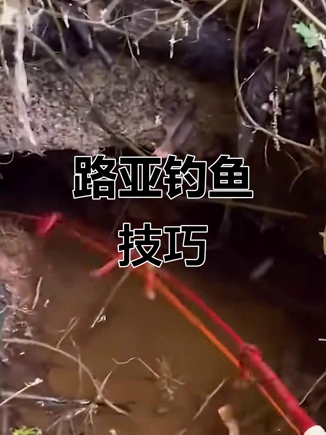中午路亚钓鱼技巧(路亚中午钓鱼好钓吗)