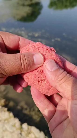 钓走水的饵料(走水 钓鱼)