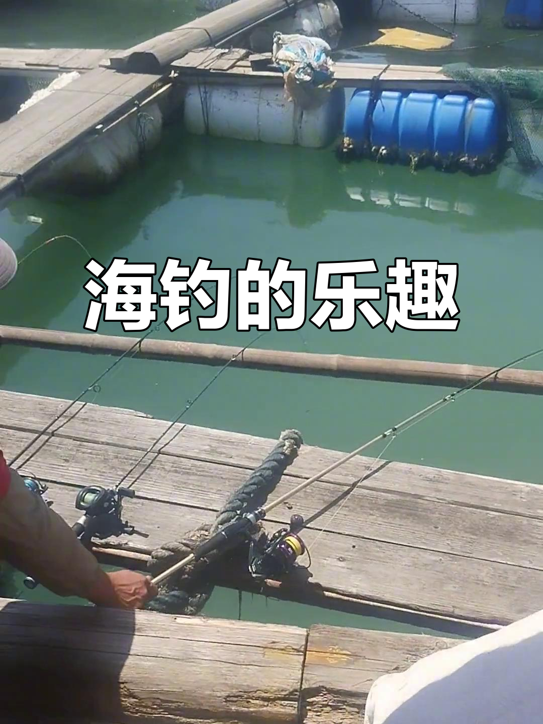 海钓短片(海钓视频集锦)