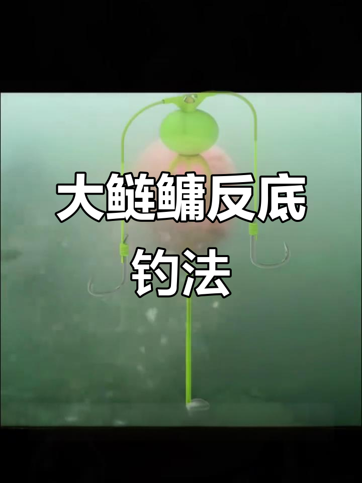 最新钓鲢鳙技巧(最新钓鲢鳙技巧视频)