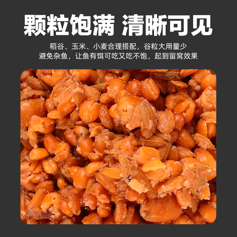 谷粒饵料(纯谷物饵料钓鲤鱼配方)