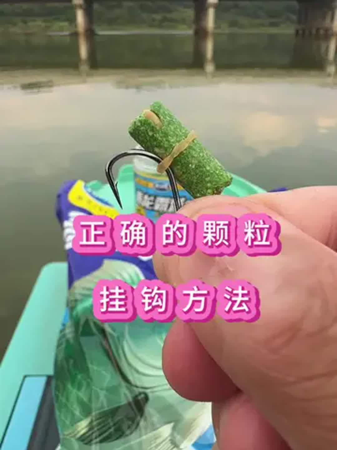 颗粒饵料挂(颗粒饵料挂钩方法)