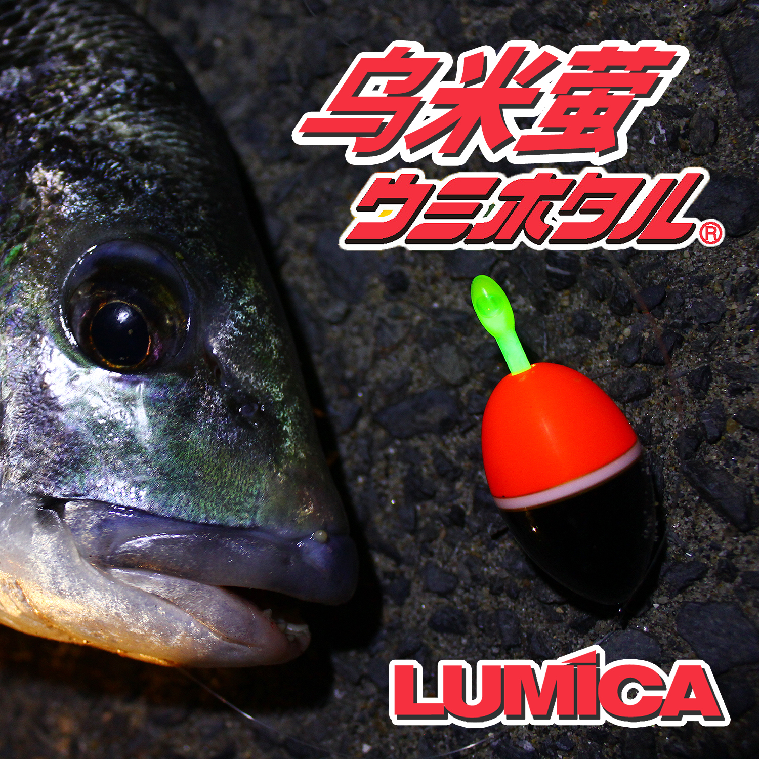 海钓夜光棒(海钓夜光棒拍漂)