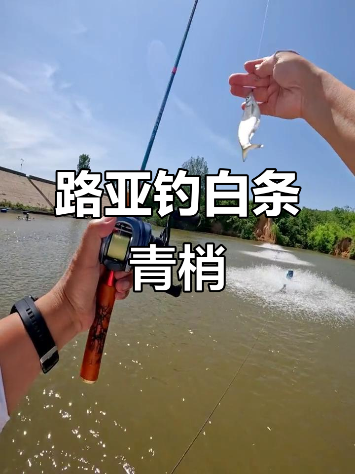 路亚青梢水层(路亚青梢标点图片)