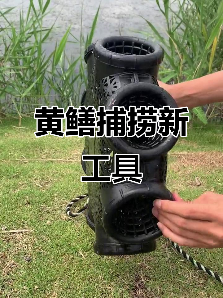 放黄鳝笼子技巧(放黄鳝笼用什么饵料好)