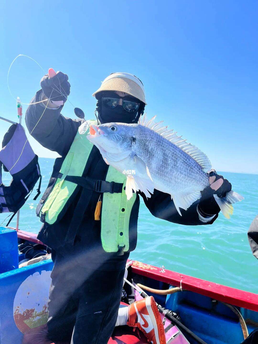 海钓视频大青(海杆钓大青鱼视频)