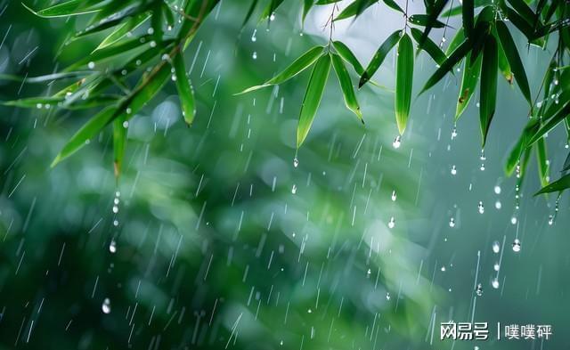 长江梅雨路亚(梅雨季节路亚)