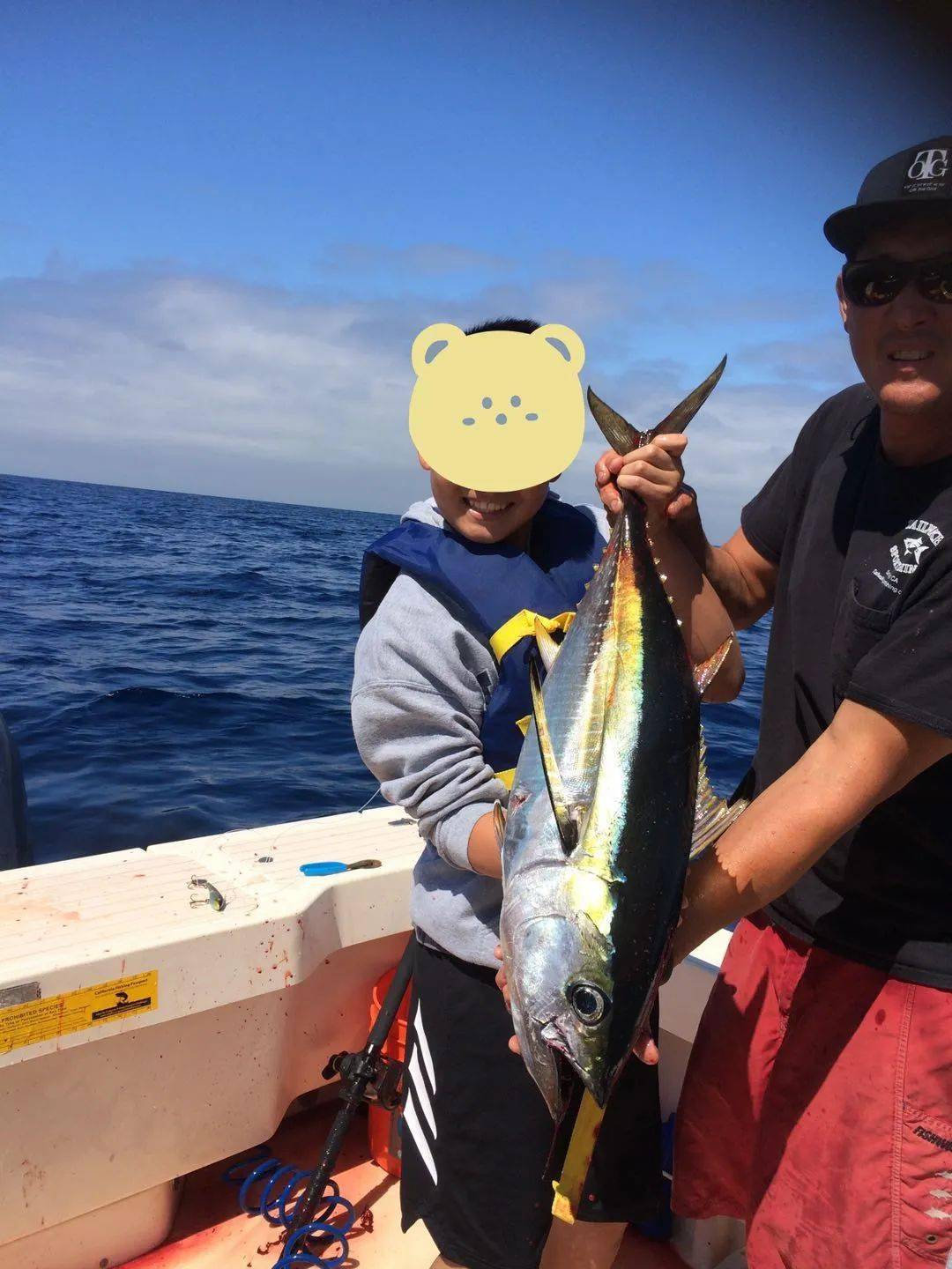 海钓牡蛎钓法(海钓牡蛎钓法大全)