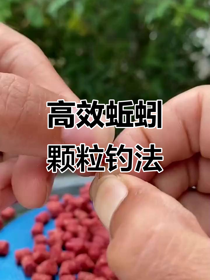 蚯蚓粘什么饵料(蚯蚓沾什么钓鲫鱼效果好)