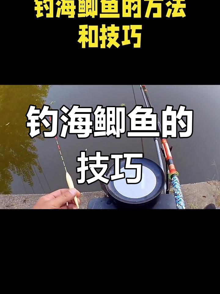 筏海钓视频教学(大海钓鱼高清视频)