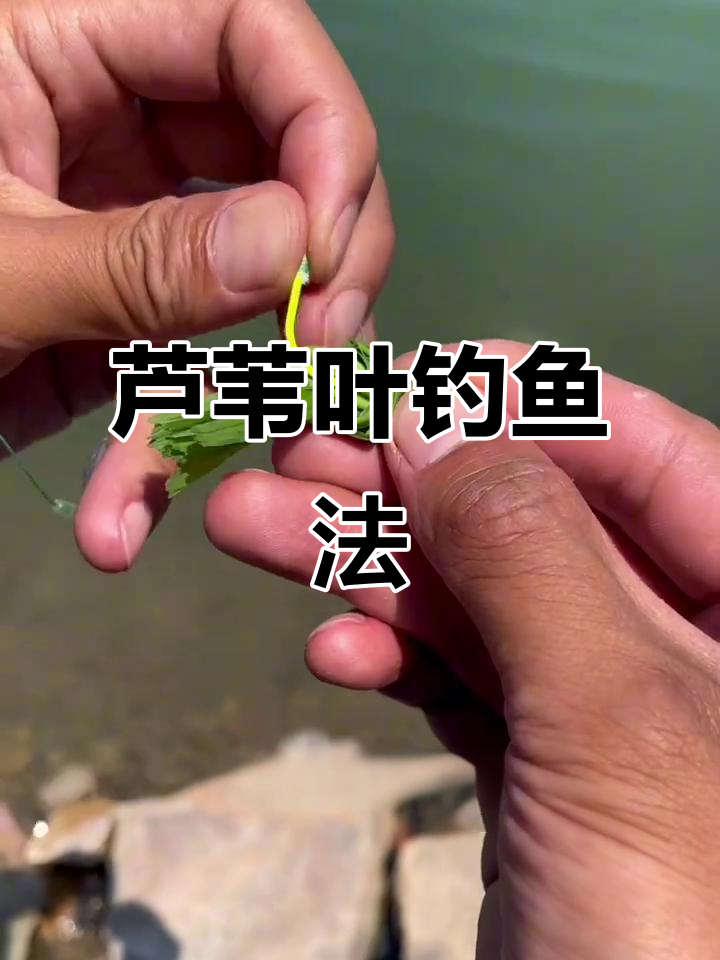 遛草鱼技巧视频(遛草鱼技巧视频讲解)
