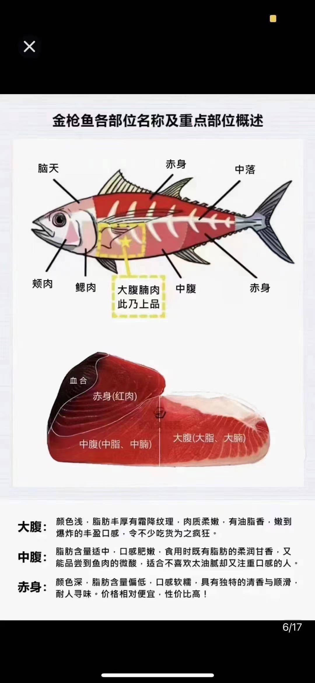 鱼肥技巧(鱼肥怎么用)
