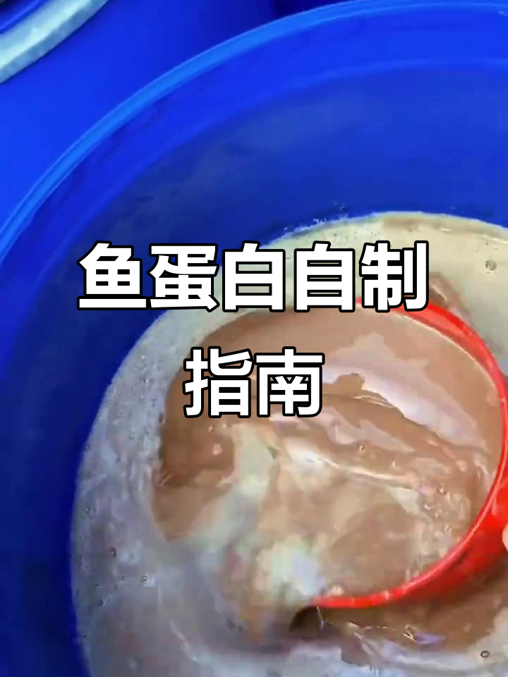 鱼肥技巧(鱼肥怎么用)