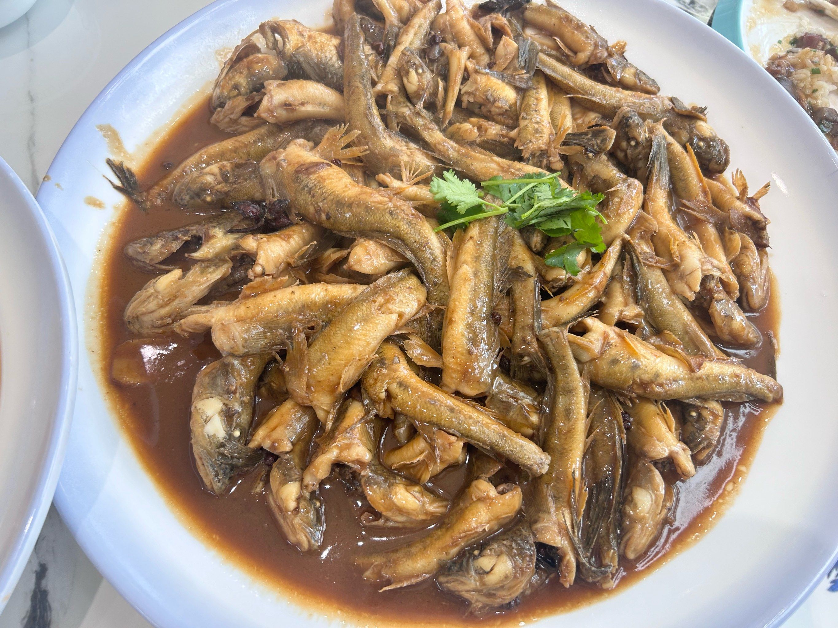 面食海钓(海钓用面食能钓鱼吗)