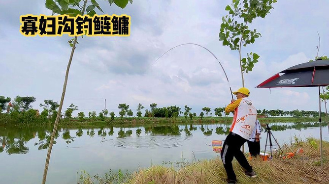 钓胖头技巧(钓胖头鱼调漂的正确方法视频)