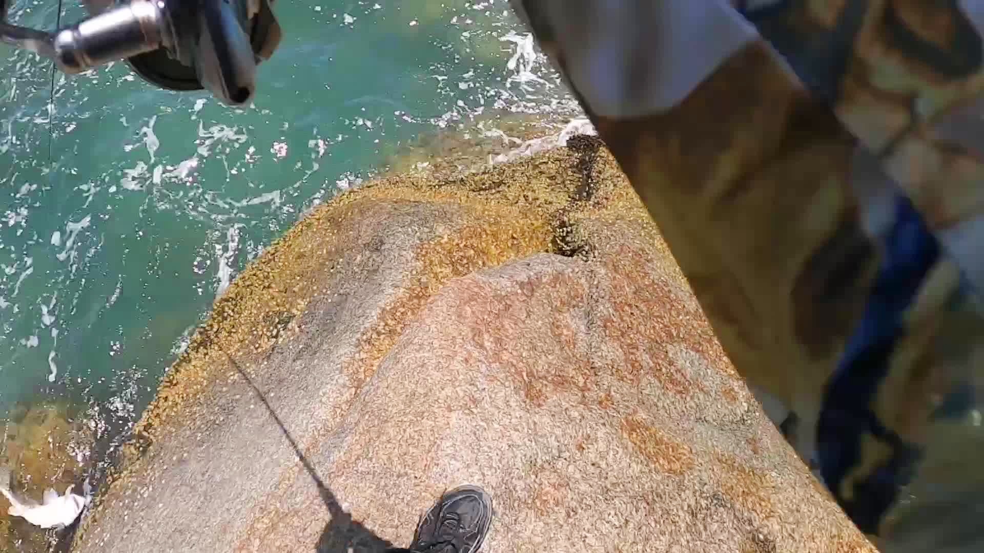 海钓美国红鱼技巧(美国红鱼的功效与作用)