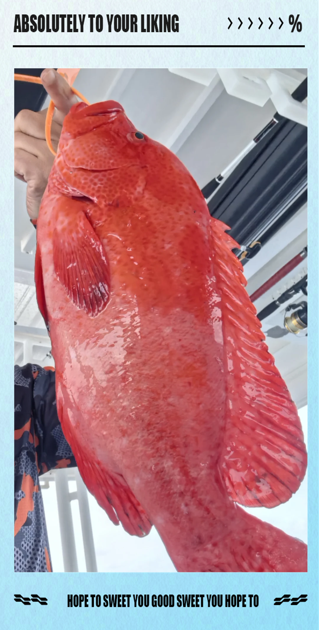 红色石斑鱼海钓(红色石斑鱼的做法大全)