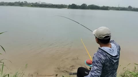 秋雨时钓鱼技巧(秋天雨季钓鱼)
