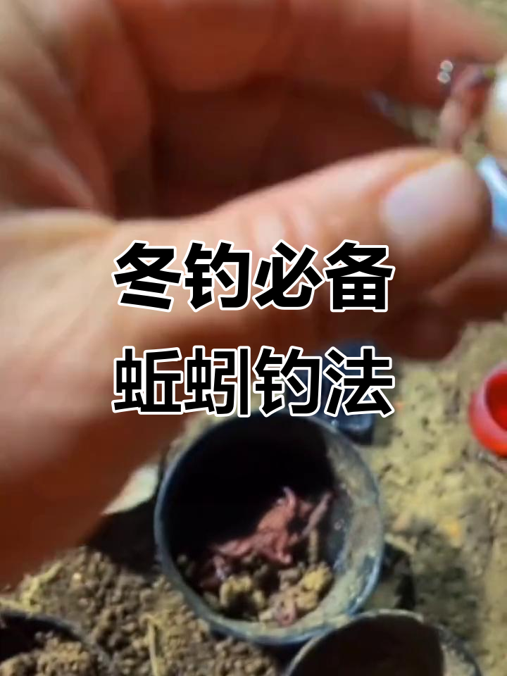 冬季小麦钓鱼技巧(冬季小麦钓鲫鱼效果)