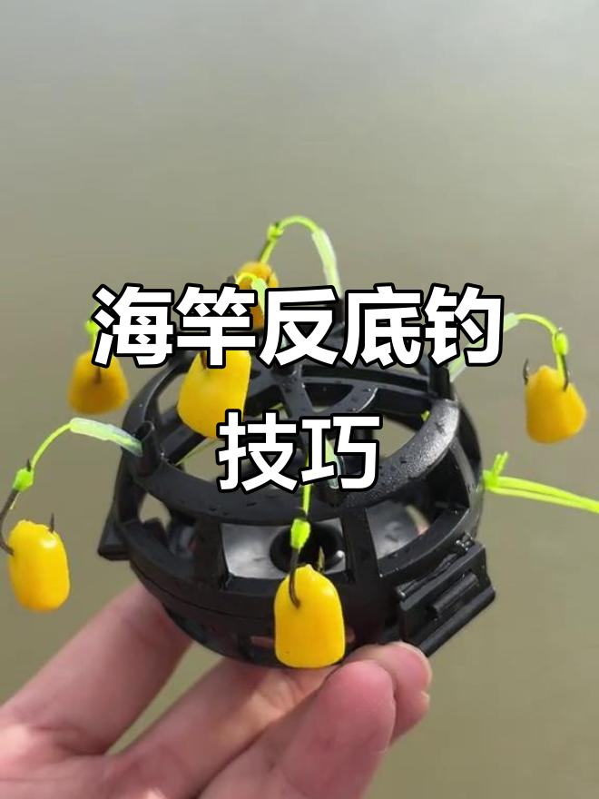 海杆在黄河钓大鱼技巧(海杆在黄河钓大鱼技巧视频)