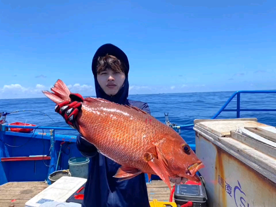 是本的海钓鱼视频(海钓本虫图片)