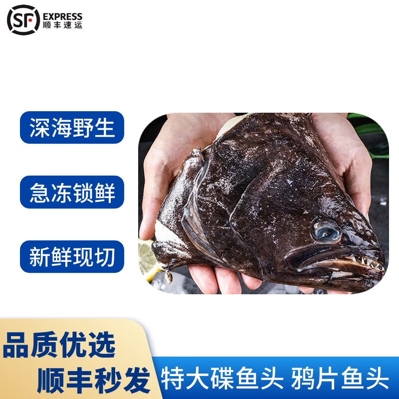 钓小偏口鱼的技巧(小偏囗鱼)