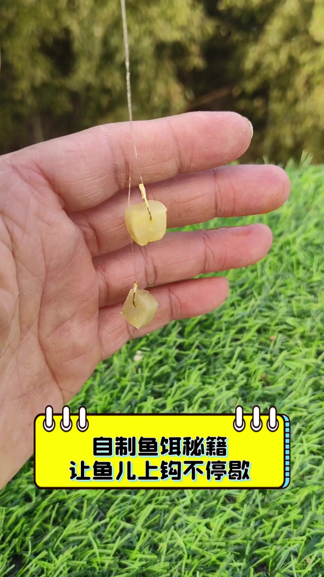 夏天小米饵料制作(怎么用小米做饵料最简单的)