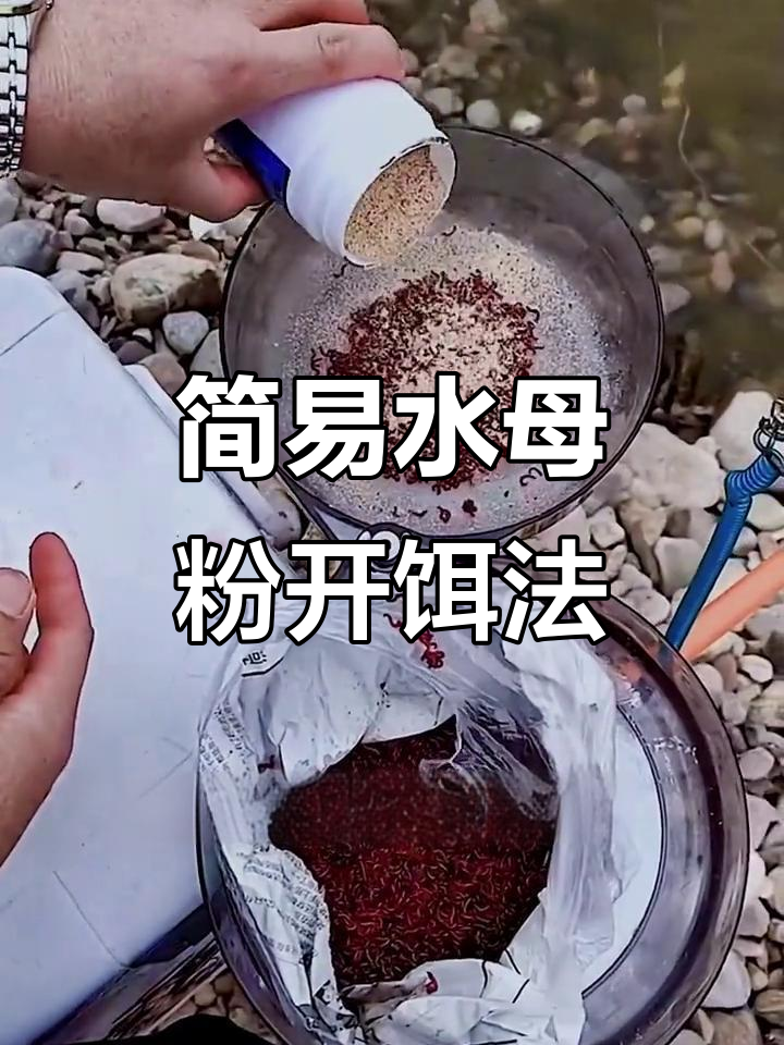 夏天小米饵料制作(怎么用小米做饵料最简单的)