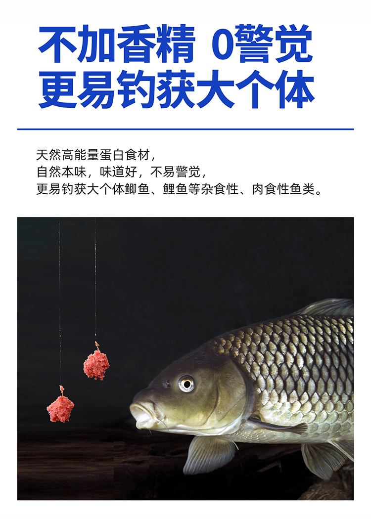 高蛋白钓鱼饵料(高蛋白钓鱼饵料配方)