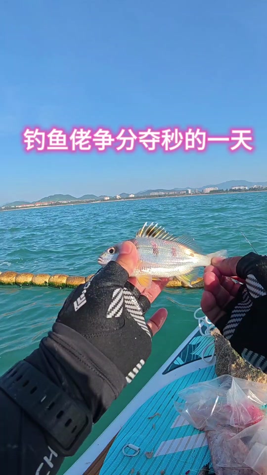 台州海滩路亚(台州哪里有路亚钓点?)