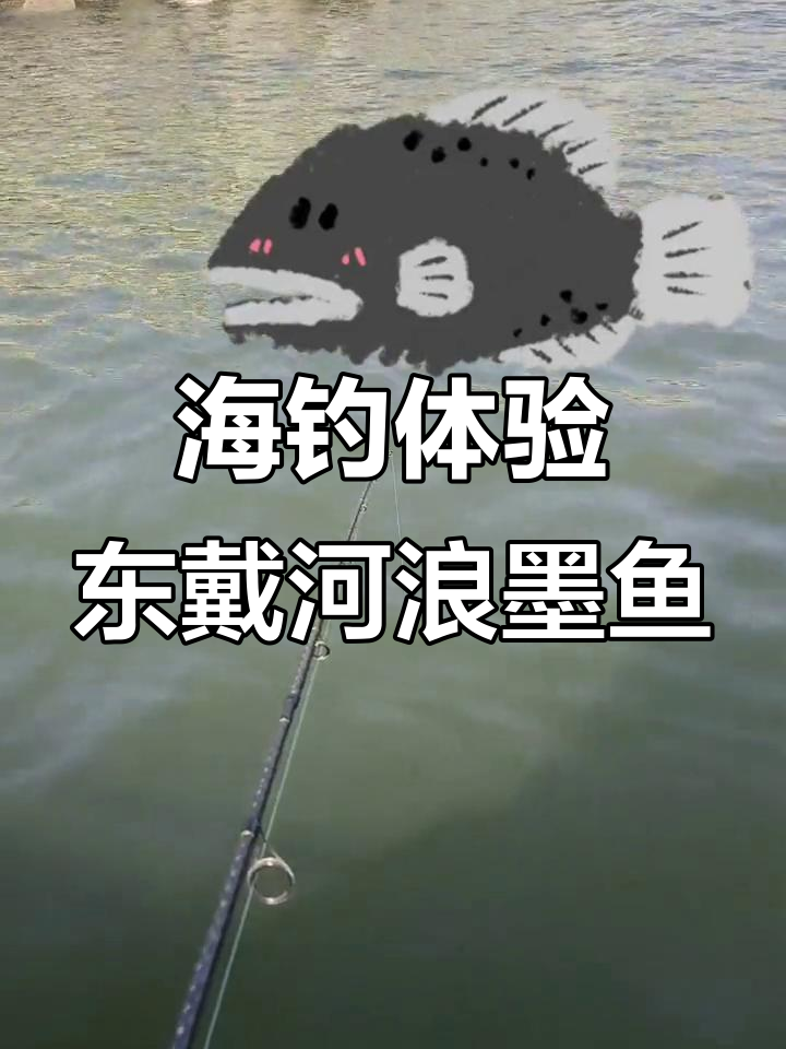 海钓时浪大水浊(海钓水浑能钓到鱼吗)