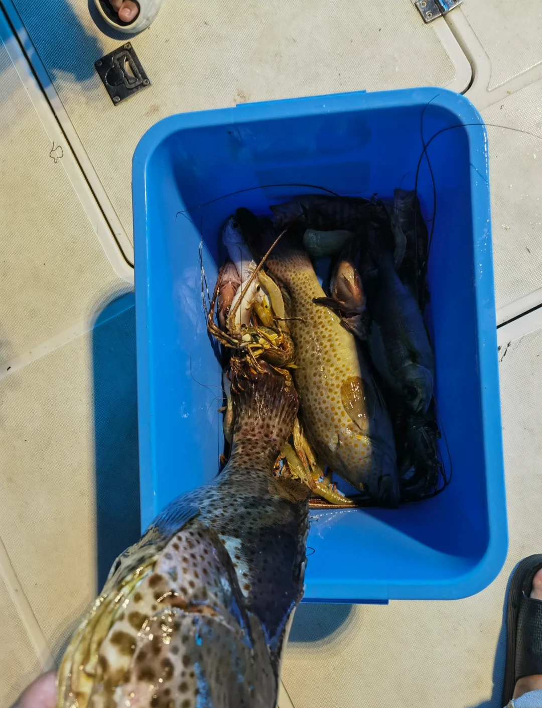 海钓时浪大水浊(海钓水浑能钓到鱼吗)