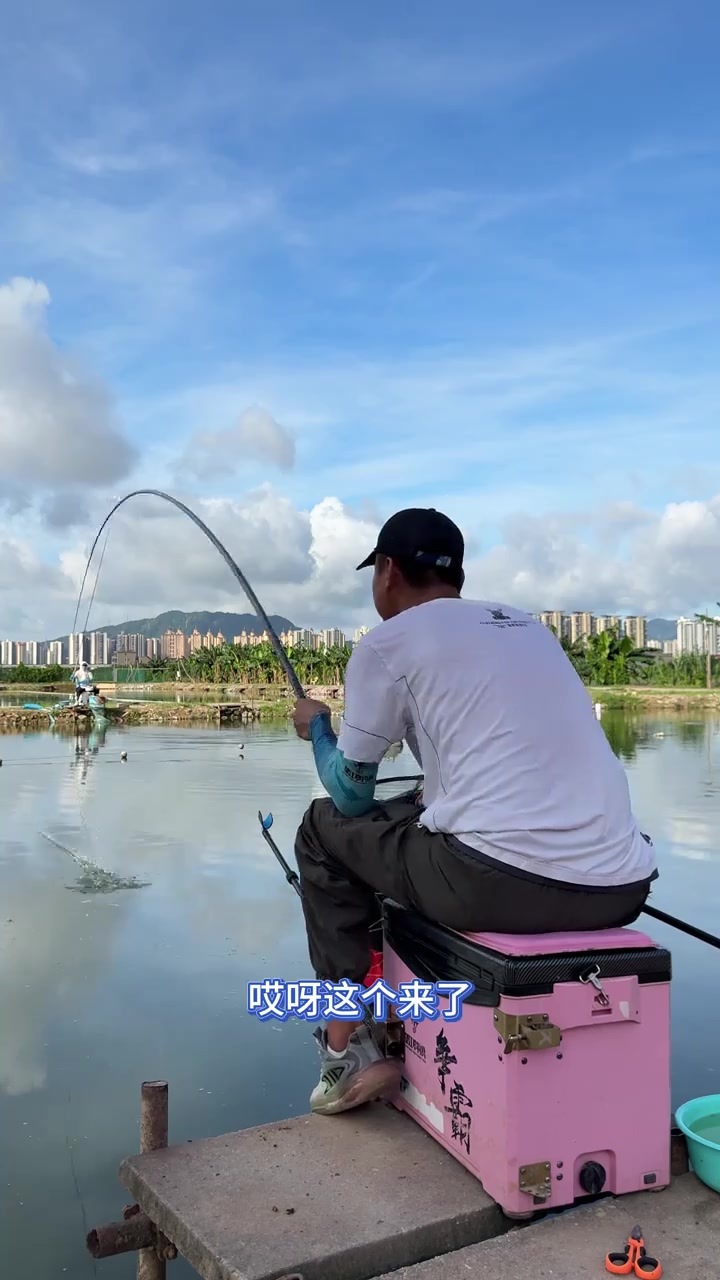 黑坑钓青鱼技巧大揭秘(黑坑钓青鱼钓离底还是躺底)