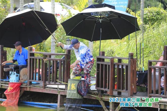 海南琼海钓鱼群(海南琼海钓鱼野钓地点)