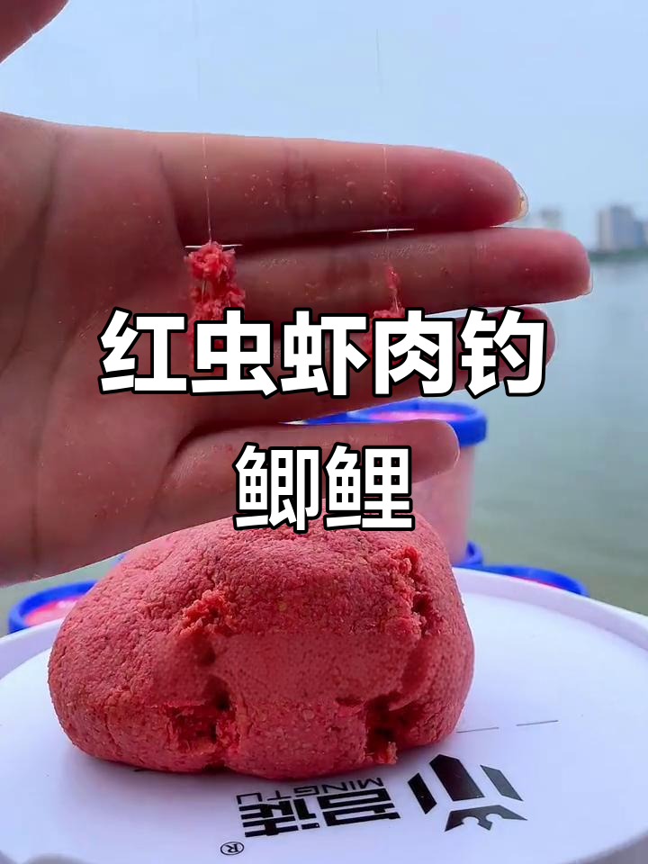 虾肉钓鱼技巧(虾肉钓鱼技巧图解)