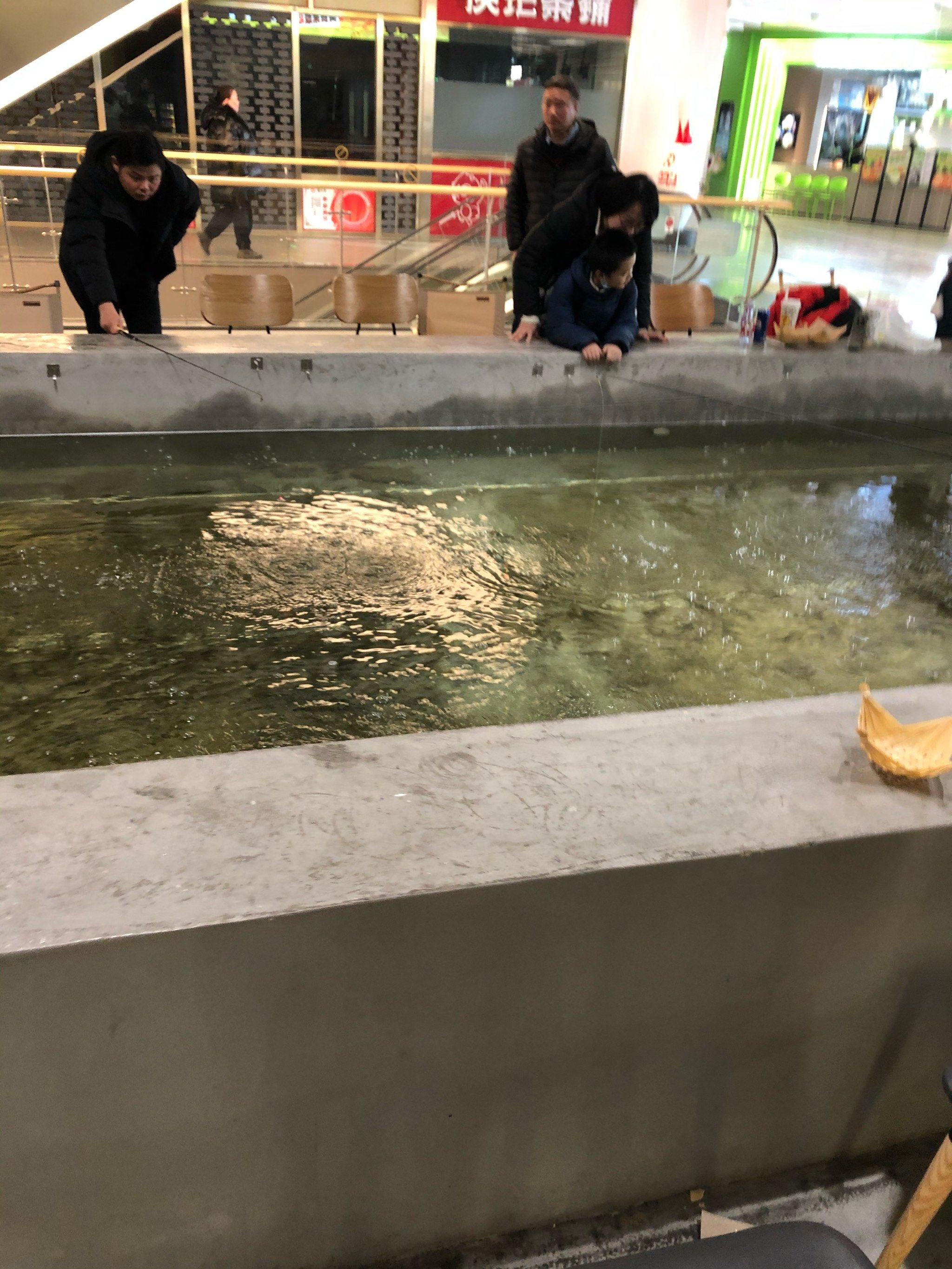 虾肉钓鱼技巧(虾肉钓鱼技巧图解)