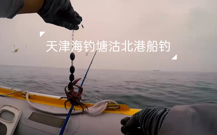 塘沽海钓时间(塘沽海钓几月份开始)
