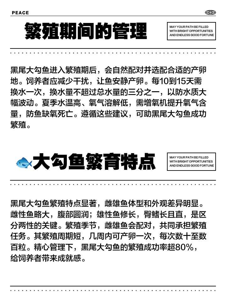 引鱼技巧(引鱼上钩的东西叫什么)