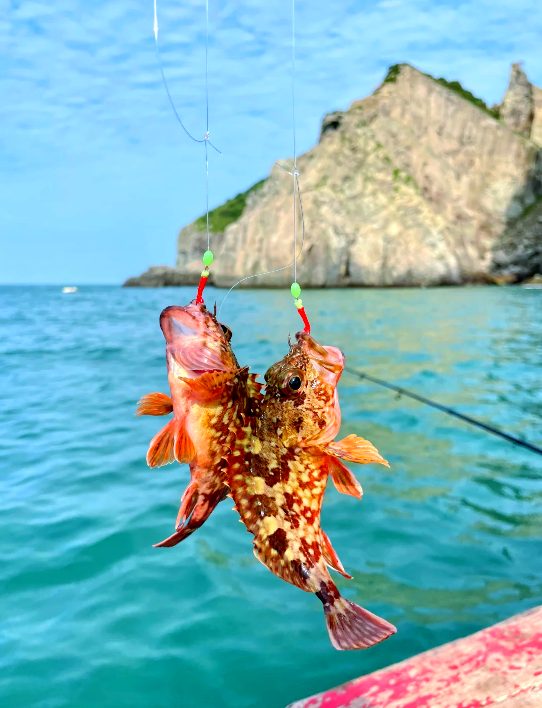 海钓岛钓高手(海钓钓点地图)